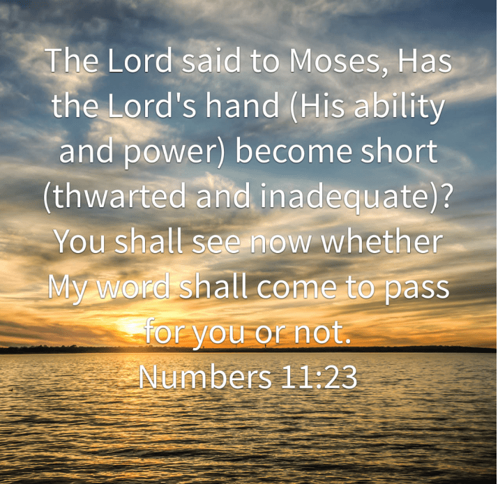 2015-11-09 20.12.41.png image