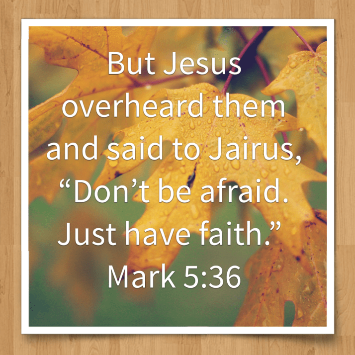 20160311_183422.png image